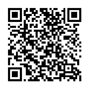 莫小鱼这才记起自己的确是说过拿文胜利练练手二维码生成