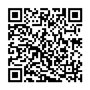 莫小鱼这种不分时间和场合的龙马精神让她难以承受二维码生成