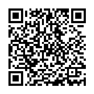 莫小鱼都会怀疑是出租车司机在给劫道的人送客人呢二维码生成