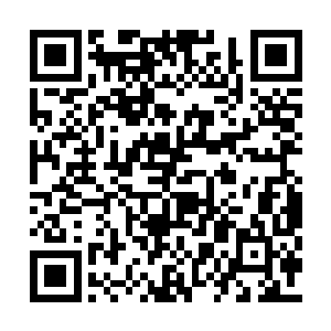 莫小鱼默不作声的看着李元日神经病一样的样子二维码生成