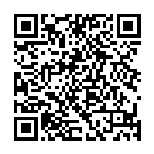 莫崎沉眸看着树心旁飞逝而过的纯金色的各种波动震荡波二维码生成