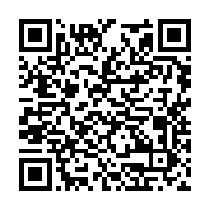 莫崎看着绵老的侧影眼底闪过一丝贪婪的血红之色二维码生成