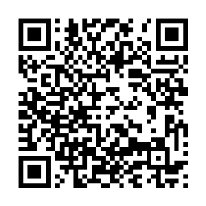 莫惊鸿和莫释君三个人对于许紫烟也是有着一种依赖的心理二维码生成