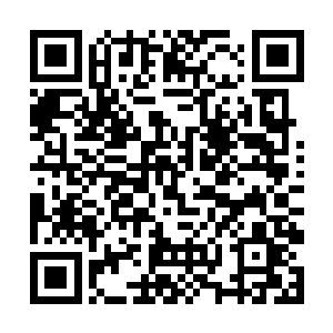 莫昕卿怎么都想不到陆天养竟然是成国公陆江的儿子二维码生成