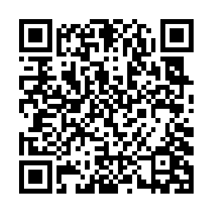 莫昕卿湿漉漉柔弱的眸子让莫昕岚拒绝的话说不出口二维码生成