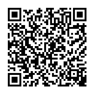 莫春娇慢慢撤出自己的意念之后小蓝用它不强的意念开始运行体内的灵气二维码生成