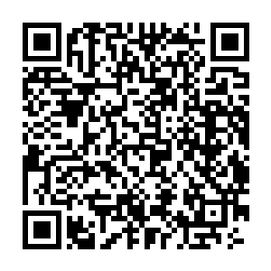 莫春娇这才注意到自己的实力已经从原先的二阶武宗下降到了九阶武师二维码生成