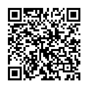 莫春娇首先引导小蓝把精灵宝钻内所有的灵气输出在体内运转二维码生成