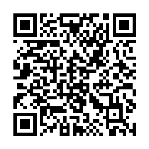 莫森工作室打败枪火工作室那场引起了轰动的赌赛的二维码生成
