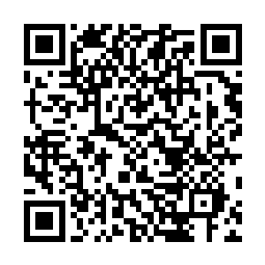莫莉援引了荣光经纪人黛玻菈的话痛斥了一番的不实报道二维码生成