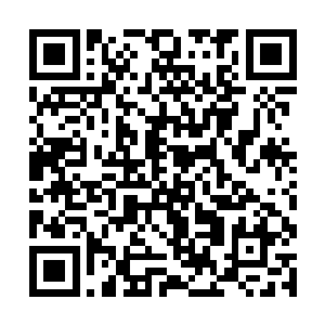 莫说是这石门上散逸出来的微不可查的天道意志之力二维码生成