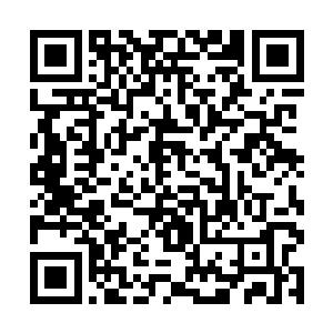 莫遥和云照尘等六大势力的读书人研究如何闯镇罪殿二维码生成