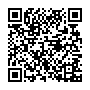 莫队长是松江石化的董事长袁玉山亲自过来推荐的二维码生成