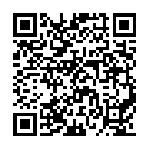 莫非……她想起曾经九哥给她一封灵虚传来的信二维码生成