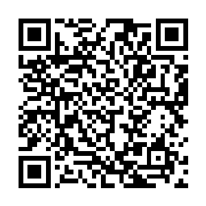 莫非你认为这里聚集的实力还会超过四海宫的总部不成二维码生成