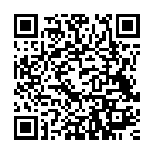 莫非便是当年和虚妄城主联手击杀五位大圆满强者的龙血武帝二维码生成