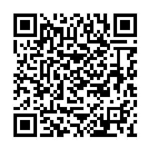 莫非六道轮回之主刻意选择了我传送过来的位置二维码生成