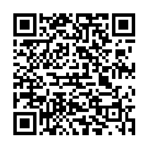 莫非城主大人当年就算计出未來天翼神虎出现之时二维码生成