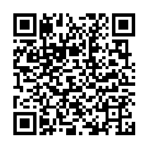 莫非天傲师侄以为老朽的炼丹之术不配做她的师尊不成二维码生成