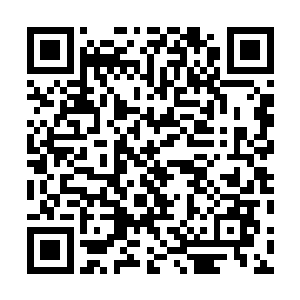 莫非张秀全就这样肯定国内风向会向着他们期望的方向吹二维码生成