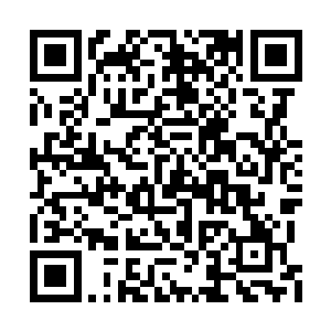 莫非徐小姐真的认了那位国教学院少年作未婚夫二维码生成