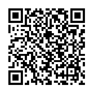 莫非扎家在圣器空间内和另外两大家族的人厮杀起来了…二维码生成