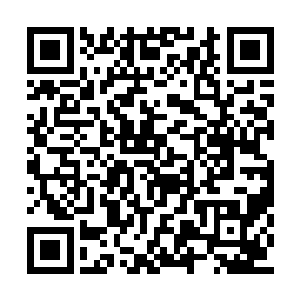 莫非是月王座和紫御座两人联手杀死了东方王座二维码生成