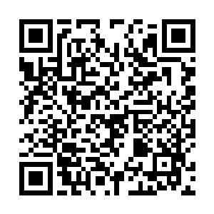 莫非是苏佳怡的灵魂又找了一个玩家来为她的人生逆袭二维码生成