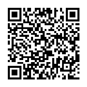 莫非是这面旗子遮挡住了破丹结婴时的剧烈能量波动二维码生成