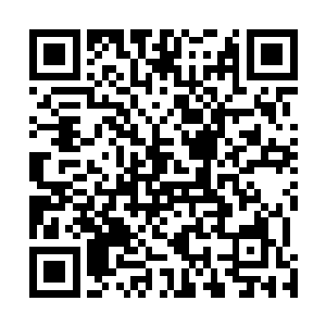 莫非眼前双手插袖分明离腰间双刀还有两尺距离的年轻人二维码生成