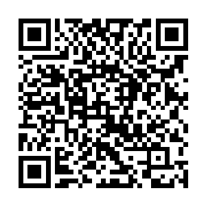 莱因哈特营长第一个从榆树林中如猛虎一样的冲了出来二维码生成