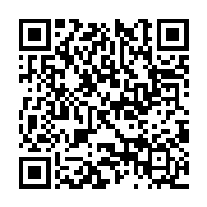 莱昂纳多也收到了来自剑新艺术家经纪公司的邀约二维码生成