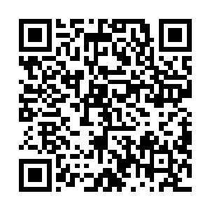 莱昂纳多依靠着惊人的天赋成为年代一辈中演技的佼佼者二维码生成