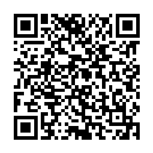 莱昂纳多在雨果的脸上捕捉到了兴致盎然的亢奋眼神二维码生成