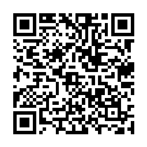 莱昂纳多终于找到了将女孩的香味保留下来的办法二维码生成