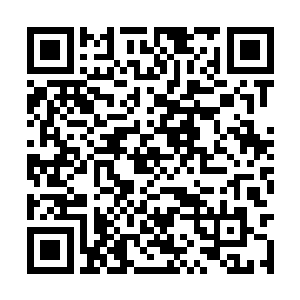 莲花台这个最大的把柄都已经抓在孙子轩的手中了二维码生成