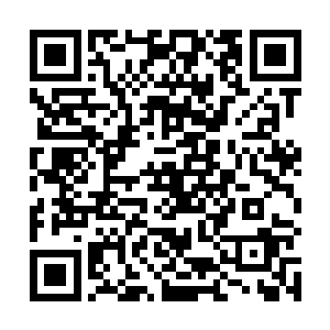 获得了人族联军之中的一个享有巨大声望和荣誉的称号二维码生成