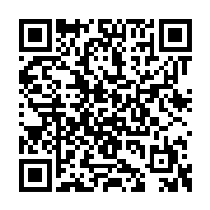 获得了他的在藏兵之山上收获的第一件白银秘藏二维码生成