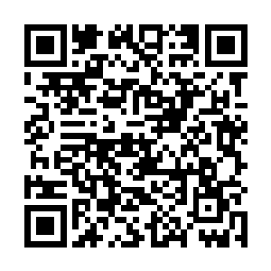 获得了大批虫晶的人也是第一次跑到祖树那里提升实力二维码生成