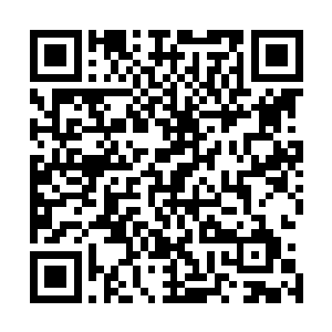 获得了市委书记青睐的组织部长其手中的权力没有人敢小觑二维码生成