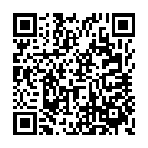 菜菜子原本端了酒杯就要往自己背后的大嘴里灌二维码生成