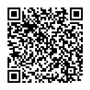 菩提院首座无思方才有心思看向舍利塔中多出的那位忧郁俊朗的宗师二维码生成