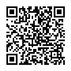 菲利普最欣赏的便是她的这份坦白随意不加遮掩二维码生成