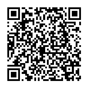 菲力哪能想到原战如今那能让其他四级控土战士能妒忌和惊讶到死的二维码生成