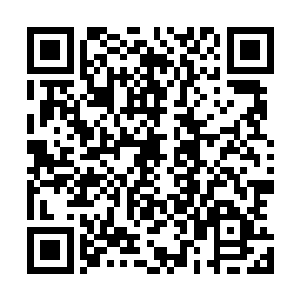 菲尔先生和伊丽萨拿着船只资料去俱乐部办理过户手续去了二维码生成