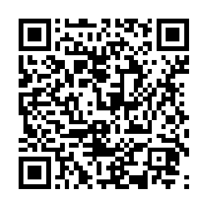 菲欧娜有些幸灾乐祸――这基本上是pr界的常识了二维码生成