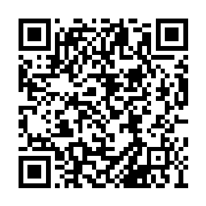 菲陪杜克看着福克斯电视台娱乐频道的现场直播二维码生成