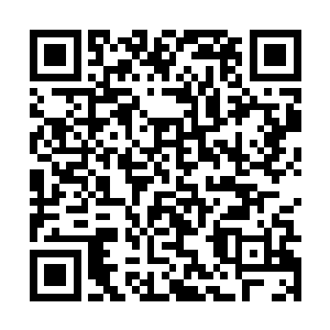 萌萌哒的小宝贝出现了哦~猜猜她是什么身份和能力二维码生成