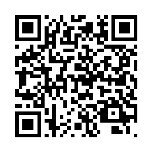 萌萌明显喜欢原本自己的小鸡仔造型二维码生成