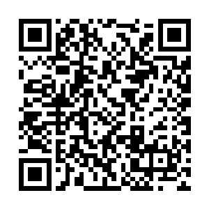 萝卜一样的手指指着那个跳出来的太乙玄门的骑士二维码生成